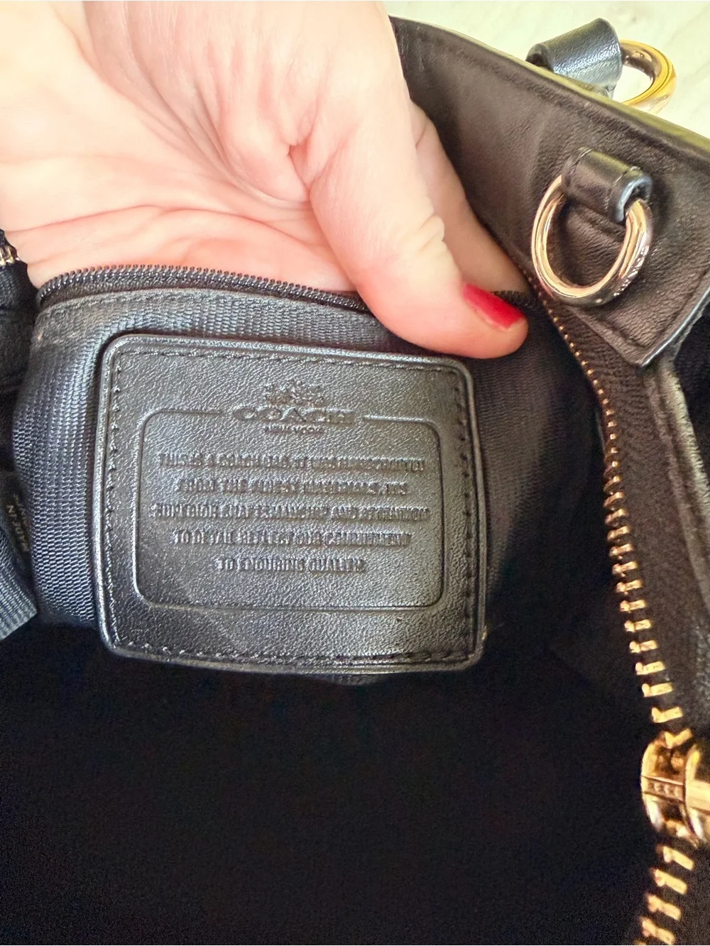 Coach Black Leather Mini Carryall Tote with Gold Toned Hardware
